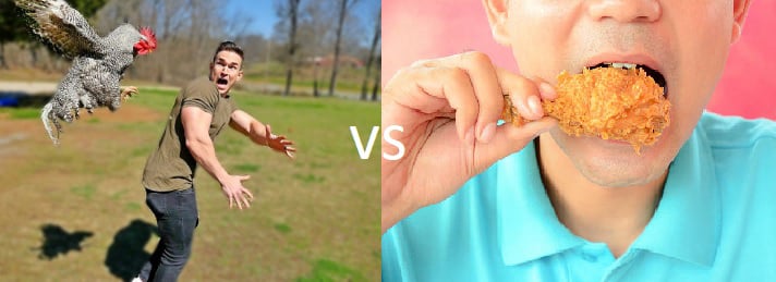 Man-eating chicken vs. man eating chicken